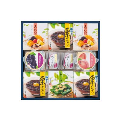 涼菓撰RS30　10個入 【送料無料】【2025年夏の贈り物】
